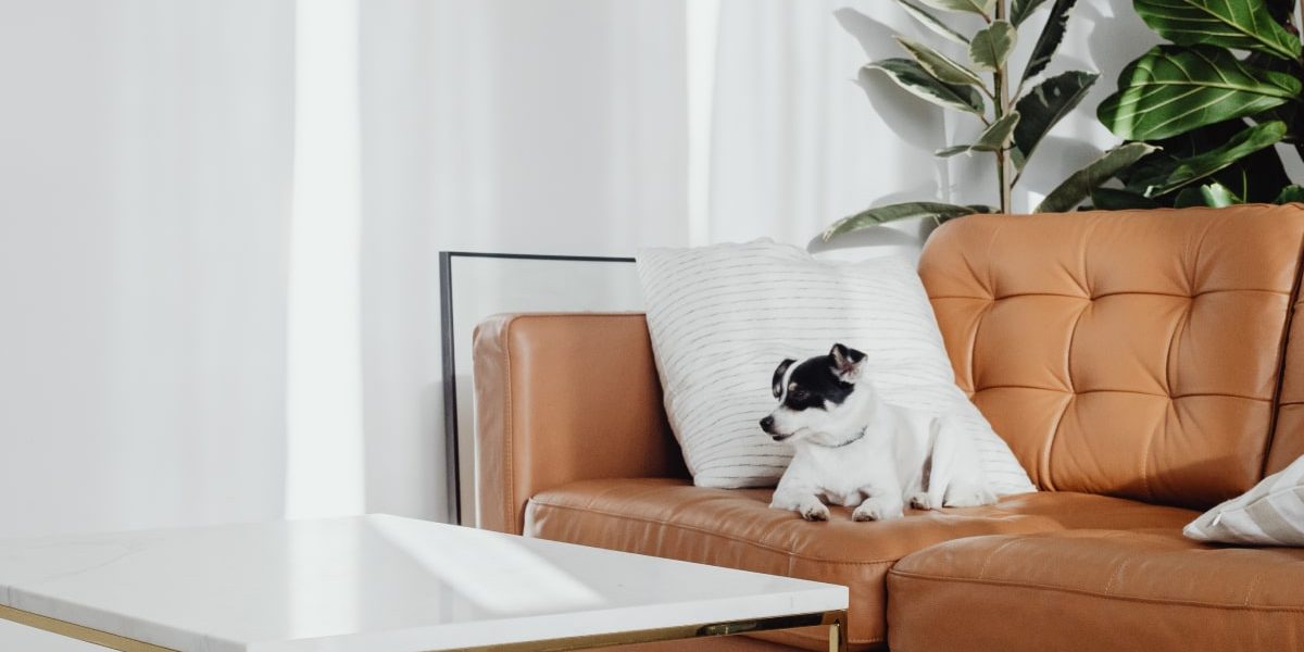 wd-furniture-blog-5-opt
